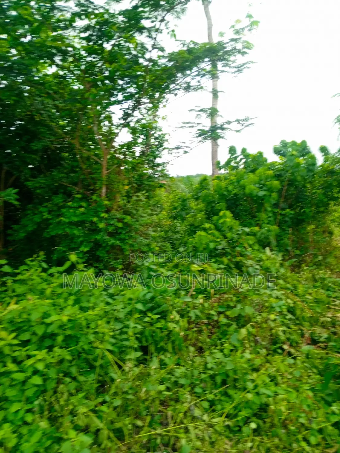 Land for Sale at Oloje Ido Road