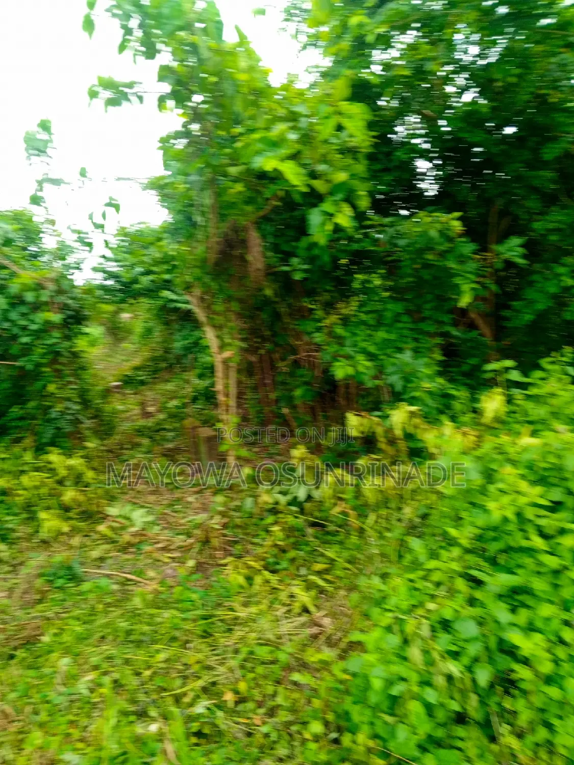 Land for Sale at Oloje Ido Road