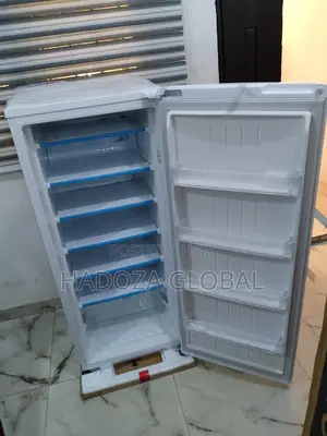 Lg Gn-304sqgt: Reliable Freezer For Nigerian Households