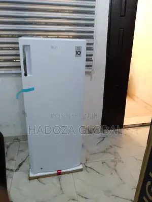 Lg Gn-304sqgt: Energy-efficient Freezer For Nigerian Homes