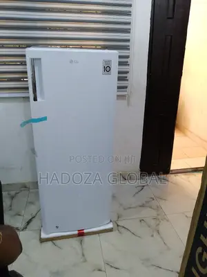 Lg Gn-304sqgt: Reliable Freezer For Nigerian Households