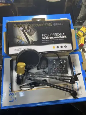 Photo - Professional Condenser Microphone With Sound Card