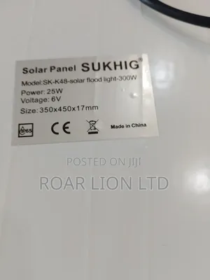300w Solar Flood