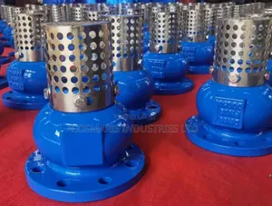 Flange Type Foot Valve