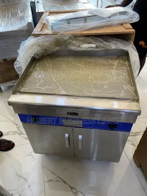 Electric Griddle Standing