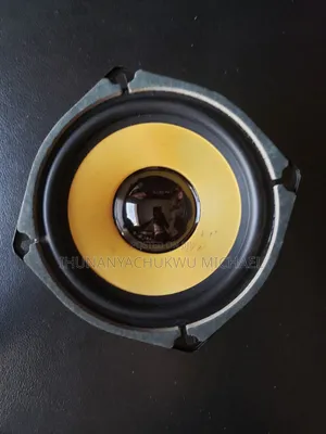 5.5 Inch Double Magnet Naked Speaker