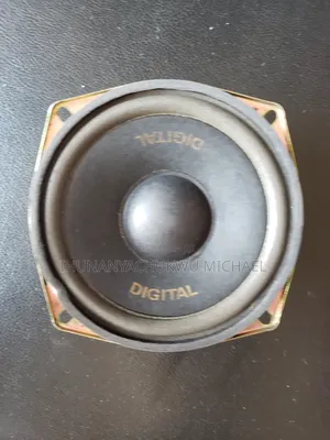 5.5" Inch 3000watts Naked Speaker With Woofer Sound