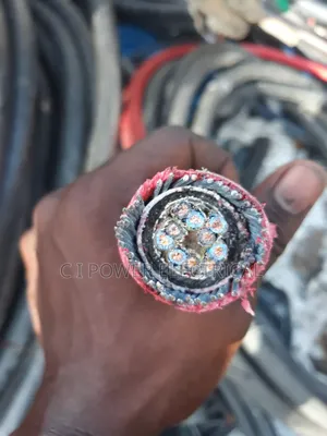 2.5mm 5 Pair Armored Cable