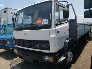 Mercedes 1117 Truck 24fit Pickup