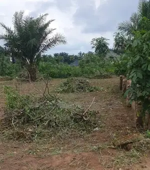 Landed Property