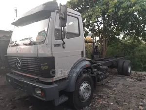 Mercedes 2531 Truck Cap and Chassis