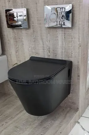 Black Wall Hung Wc With Concealed Tank