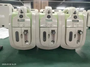 Portable Oxygen Concentrator With Battery Back Up
