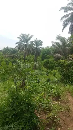 200 Hectares (1,200) Plots of Land in Ozo Abam Arochukwu
