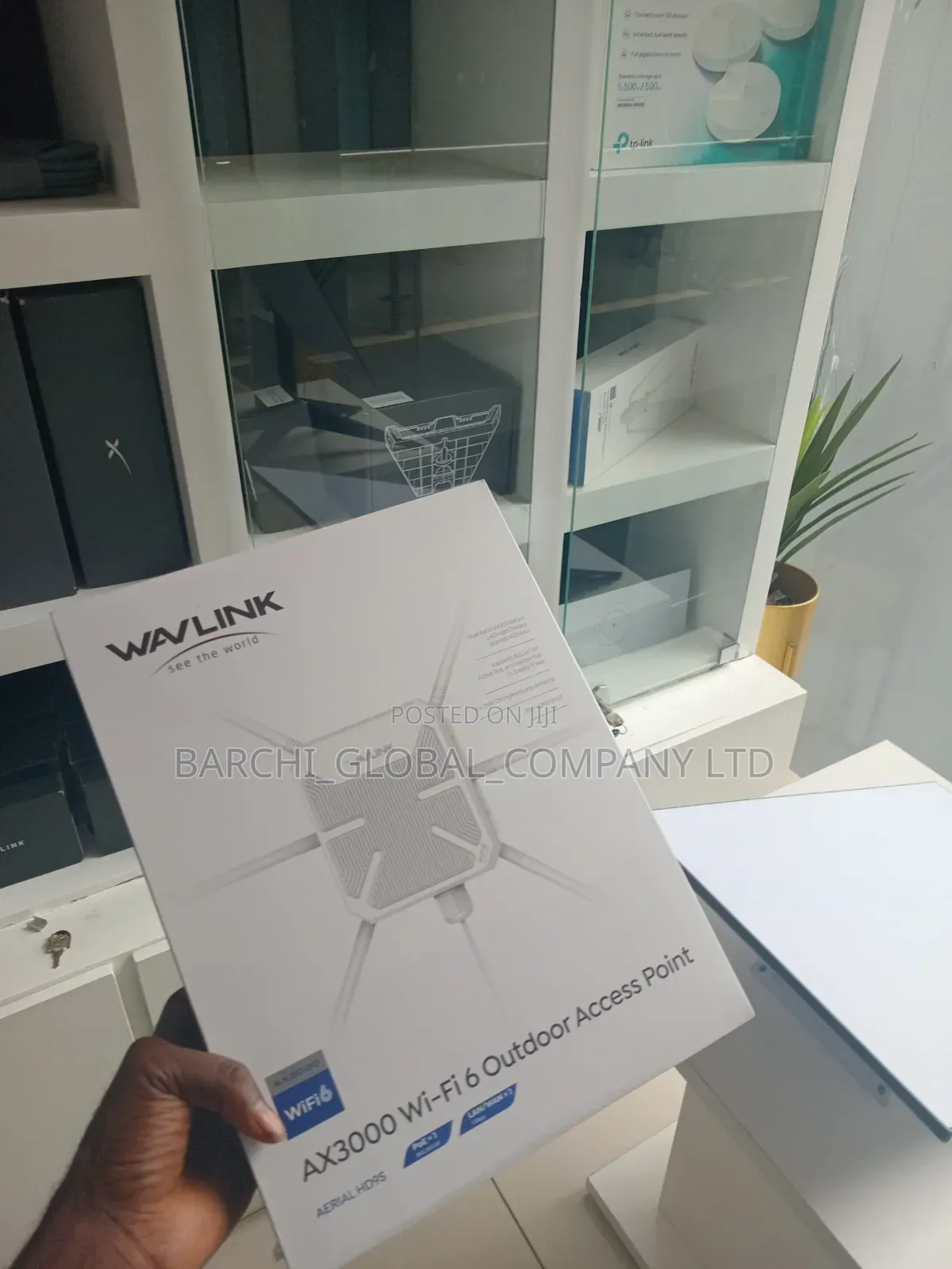 Out Door Wavelink Access Point