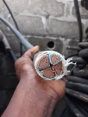 120mm 4 Core PVC Coleman Cable