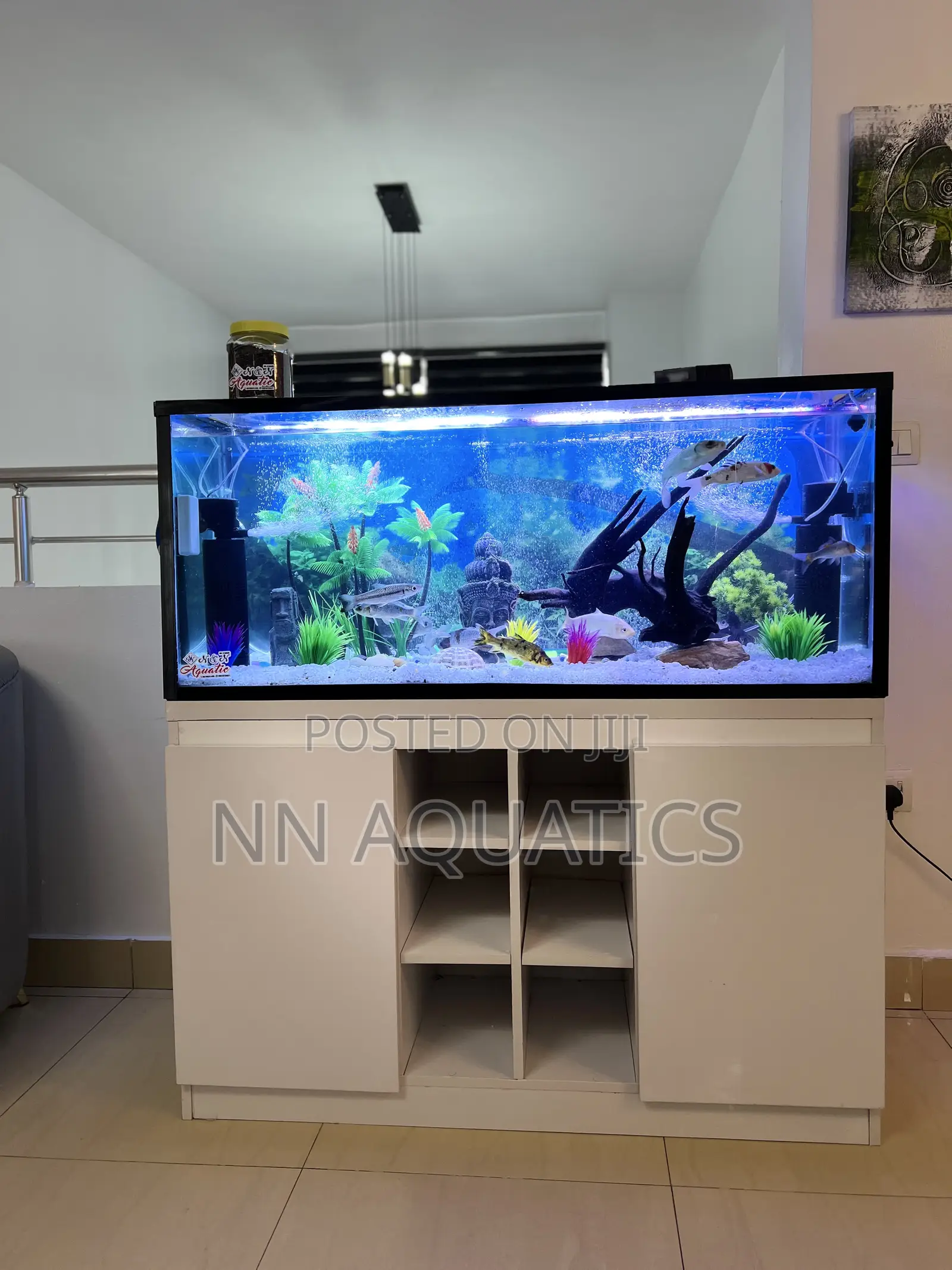 4 Ft by 2 Ft Stand Alone Aquarium