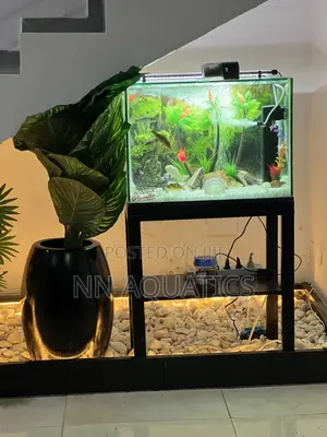 Locally Made Tank