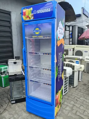 Snowsea Low-e Safety Glass Door Electric Drink Chiller