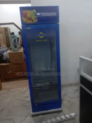 Snowsea Single Door Display Chiller Lc-300w