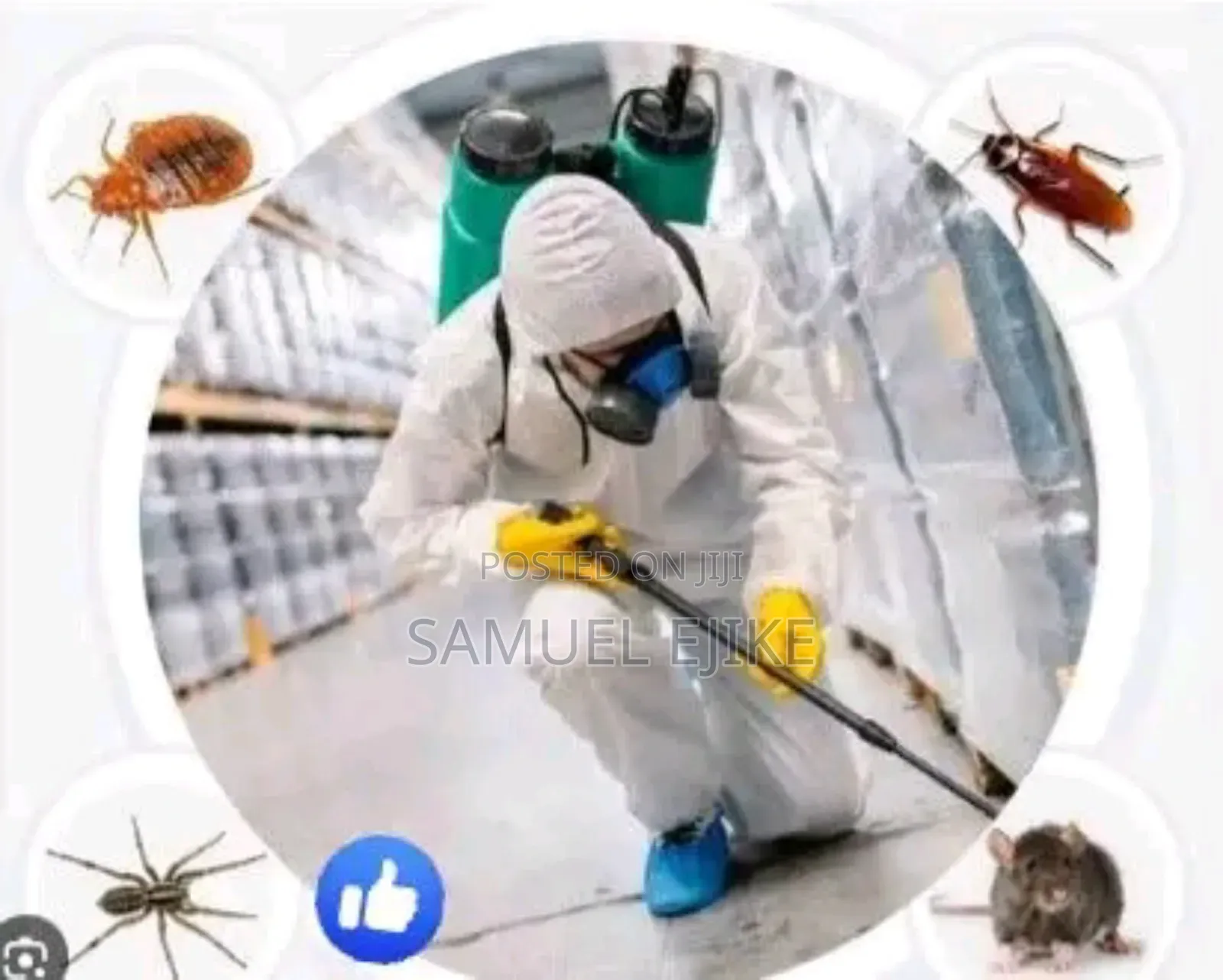 His Grace Professional Fumigation Pest Control Services
