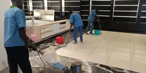 His Grace Professional Cleaning Services