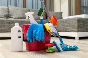 His Grace Professional Cleaning Services