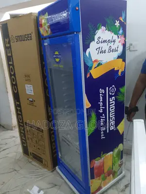 Snowsea Lc-500 Upright Display Cooler – 500l Capacity