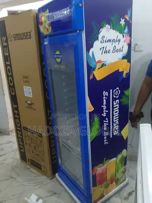 Snowsea Lc-500 Commercial Upright Cooler For Retail Use