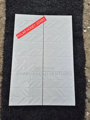 Queennes Patten Wall Toilet and Kitchen Tiles