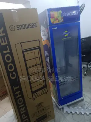 Lc-500 Upright Cooler By Snowsea – Quiet & Efficient