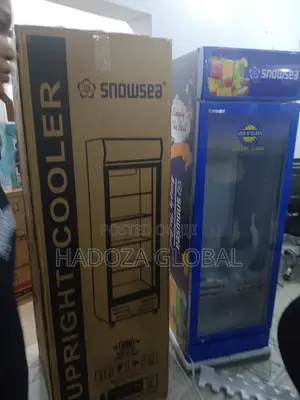Snowsea Lc-500 Cooler For Restaurants And Cafes