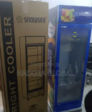 Snowsea Lc-500 Upright Cooler – Perfect For Soft Drinks