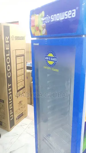 Commercial Store Cooler – Snowsea Lc-500 Upright Model