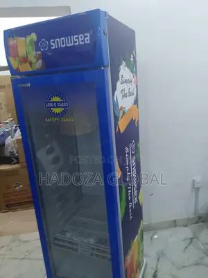 Snowsea Lc-500 Upright Chiller For Cold Storage Display