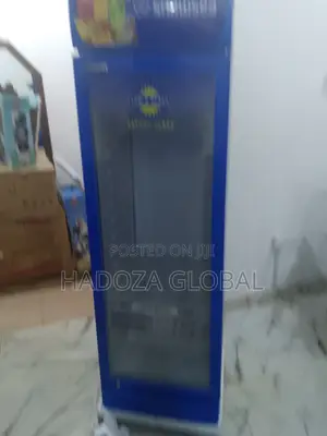 Snowsea Lc-500 – Ideal Cooler For Ice Cream And Beverages