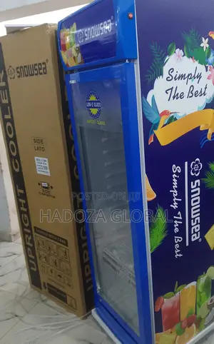 Showcase Your Best Cold Products – Snowsea Lc-500 Cooler