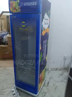 Chill In Style – Snowsea Lc-500 Upright Display Cooler