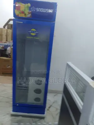 Your Retail Cooling Solution – Snowsea Lc-500