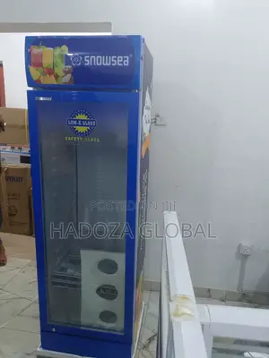 Snowsea Lc-500 – Premium Cooling For Your Business