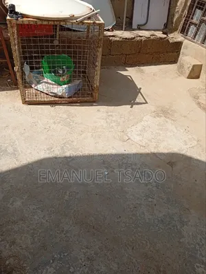 2bdrm Block of Flats in Minna for sale