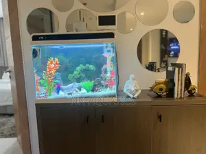60 Litters Aquarium