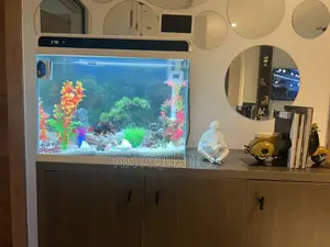 60 Litters Aquarium