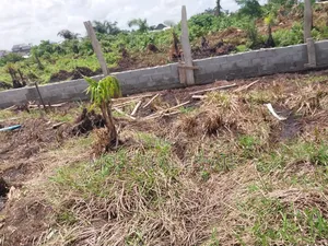 Quater Plot Ijegun Ijegemo Distress Sales