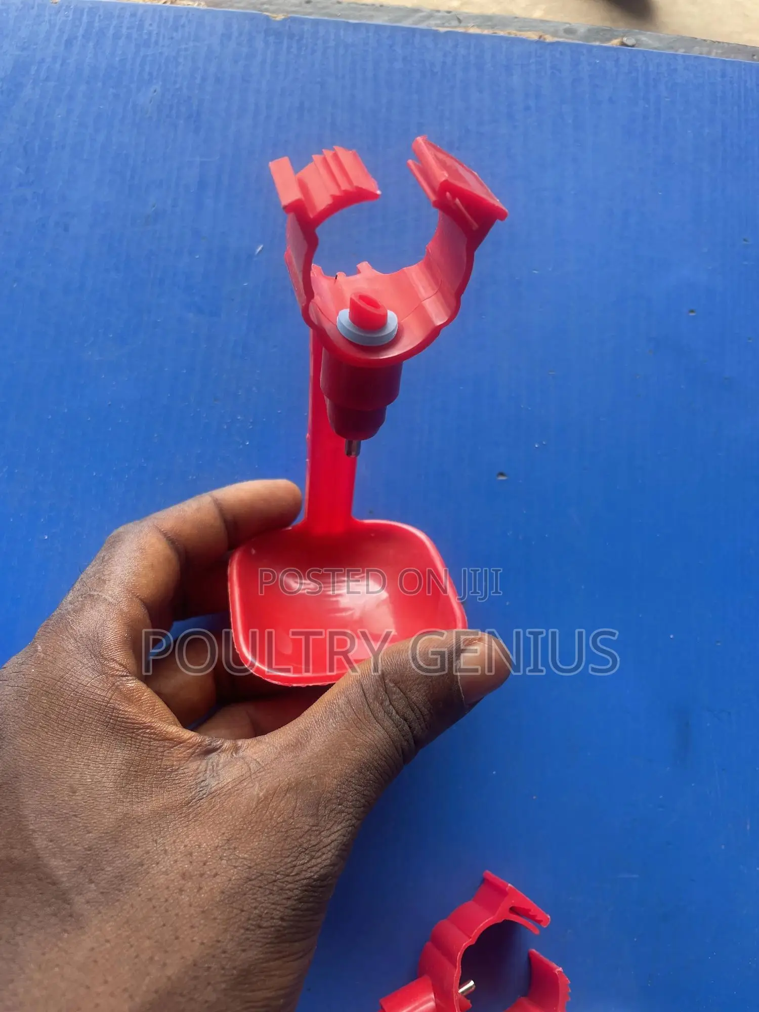 Chicken Drinker With Cup