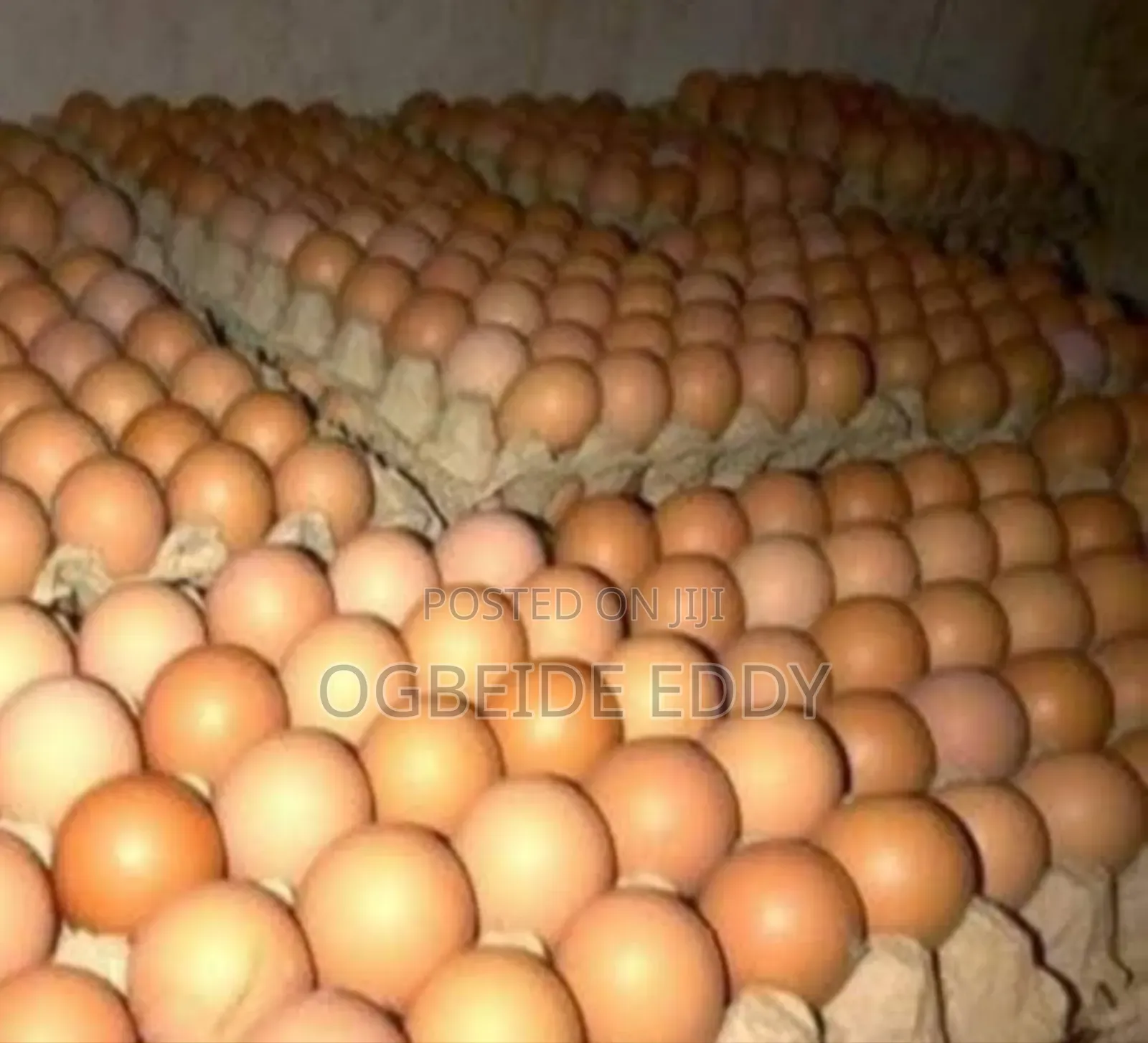 Fresh Farm Eggs
