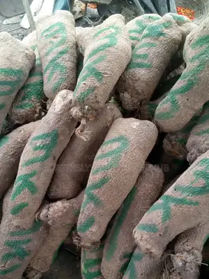 "Neatly Harvested Yams For Bulk Supplies!🌿💚