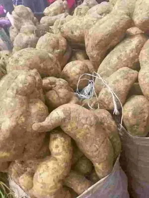 Wholesale Sweet Potato Deals!
