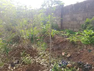 This Is a 1200 SQM of Land at Premier Layout Enugu for 60m