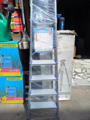 Original Iron Ladder